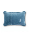 Twinkle Twinkle Mini Needlepoint Pillow