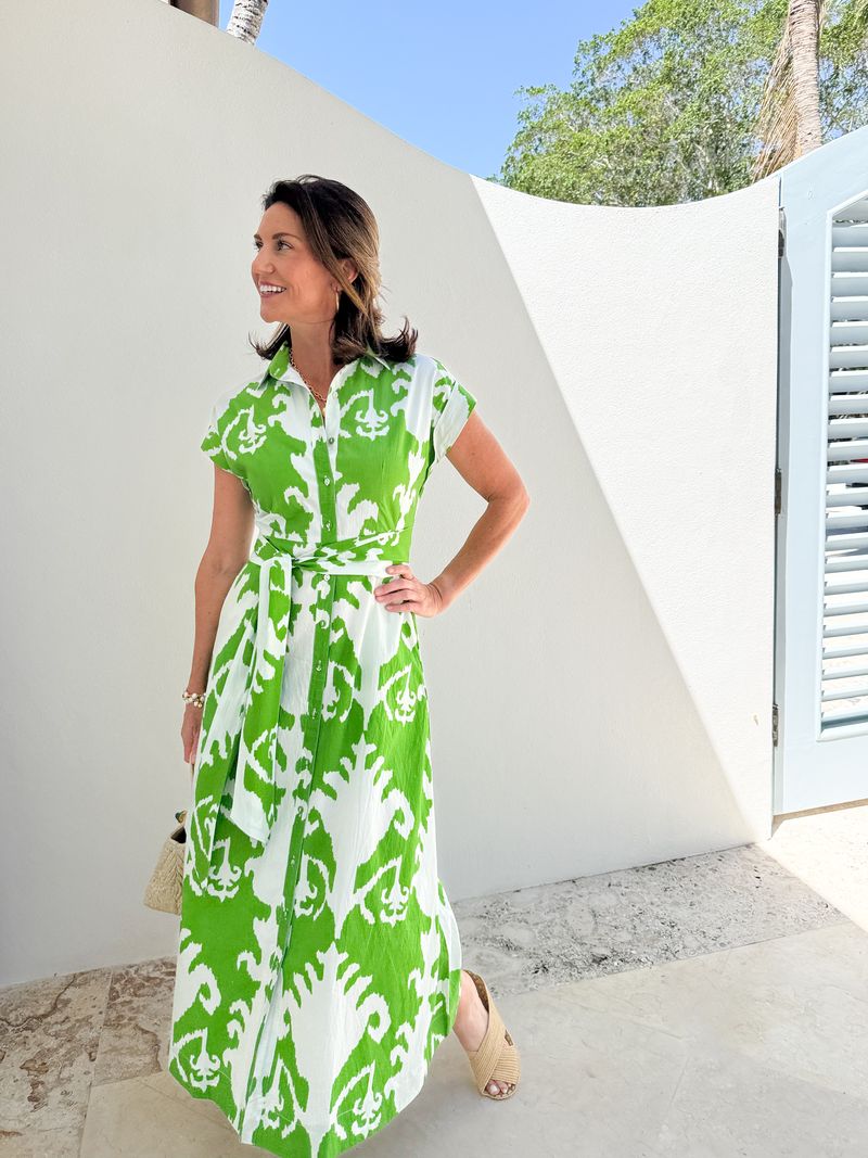 FITZROY &amp; WILLA Savannah Dress Sullivan Green Big Ikat