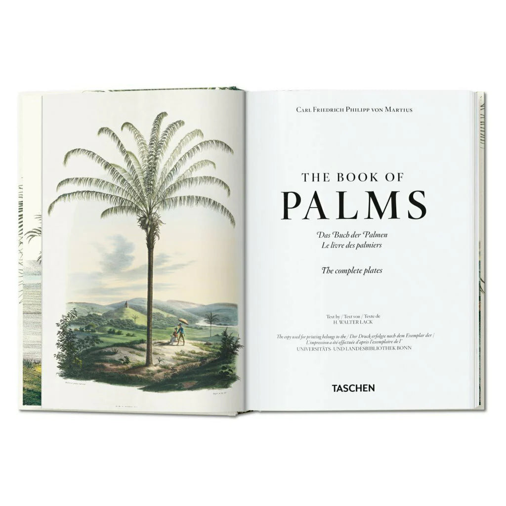 The Book of Palms Large