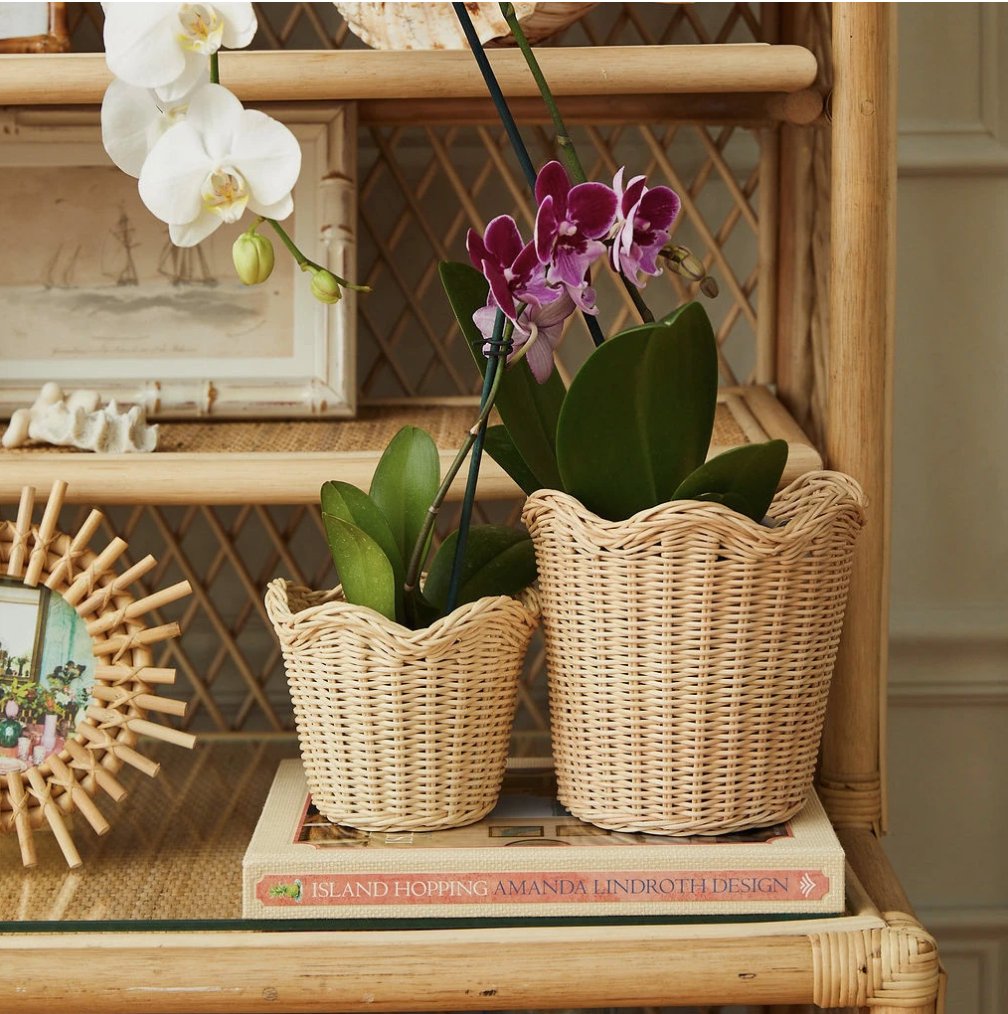 AMANDA LINDROTH Wavy Wicker Orchid Basket Large