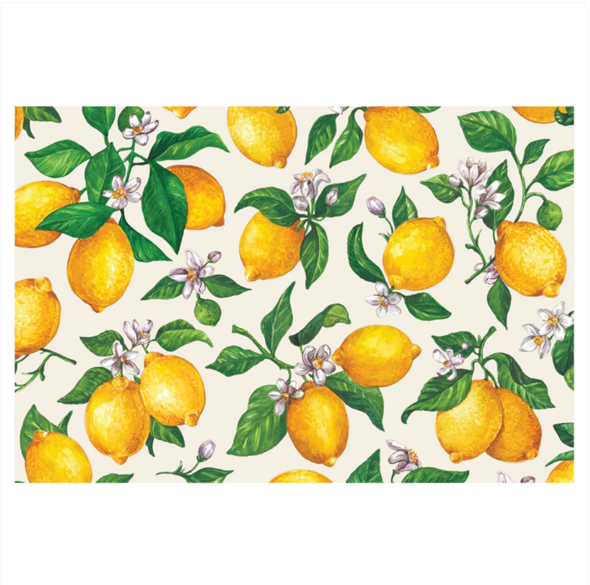 Lemon Placemat Set/24