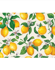 Lemon Placemat Set/24