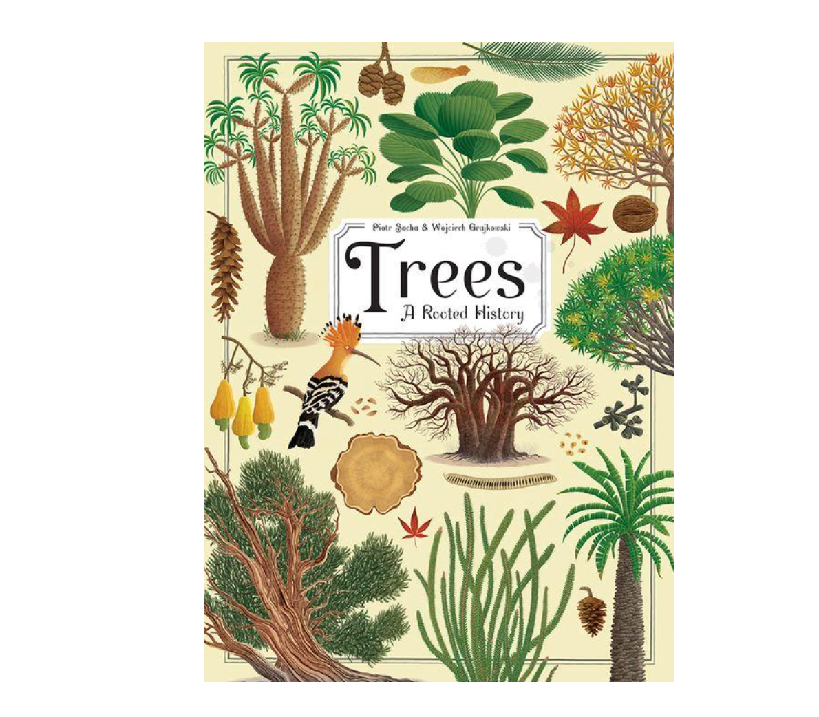 Trees:  A Rooted History