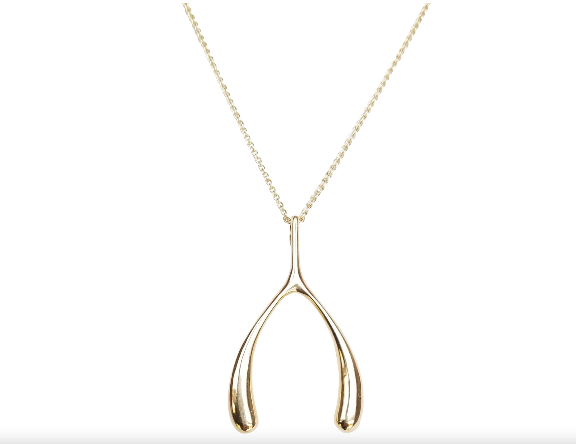 JANE WIN Lucky Gold Wishbone Pendant with 18&#39;-20&#39; Delicate Chain